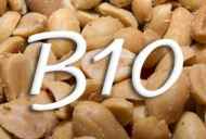 Vitamín B10 (kyselina n-aminobenzoová)