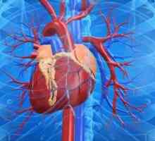 Chronické srdcové zlyhanie: príznaky, liečba