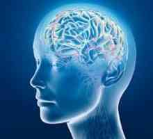 Fokálnej zmeny substancie dyscirculatory povahy mozgu