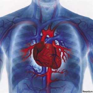Generický liek proti srdcovým ochoreniam